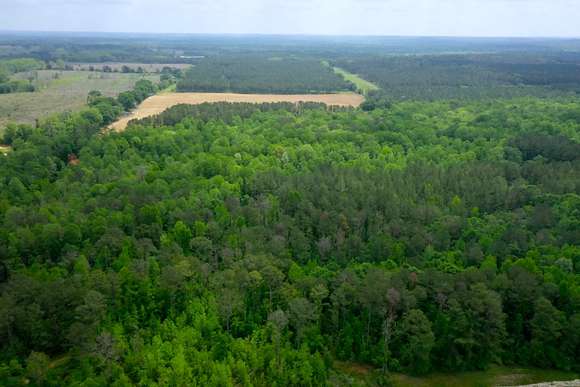 120 Acres of Recreational Land & Farm for Sale in Rutledge, Alabama