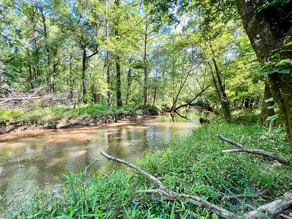28 Acres of Recreational Land & Farm for Sale in Black, Alabama
