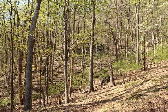 5.6 Acres of Land for Auction in Roanoke, Virginia