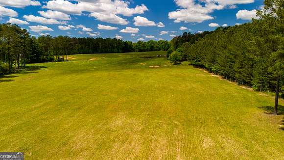 55.1 Acres of Agricultural Land for Sale in Gay, Georgia