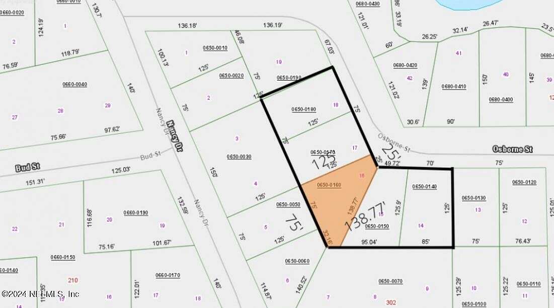 0.38 Acres of Land for Sale in Interlachen, Florida