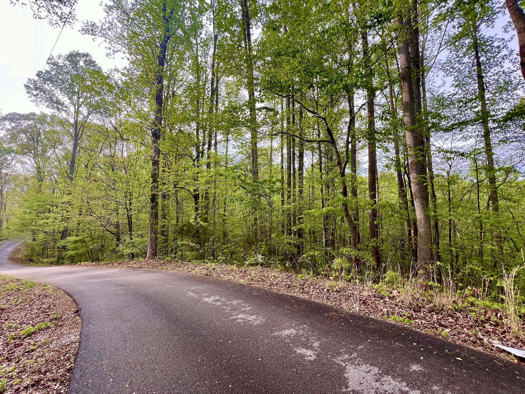 1.6 Acres of Residential Land for Sale in Madisonville, Tennessee