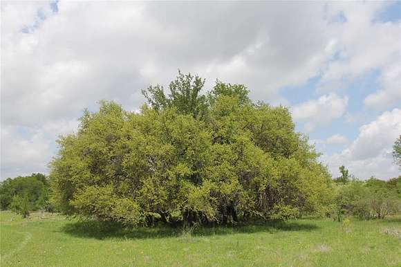 86.3 Acres of Agricultural Land for Sale in Carbon, Texas
