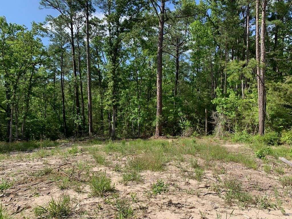 0.25 Acres of Residential Land for Sale in Brookeland, Texas