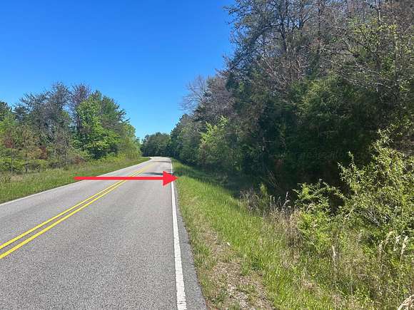 25 Acres of Land for Sale in Nauvoo, Alabama