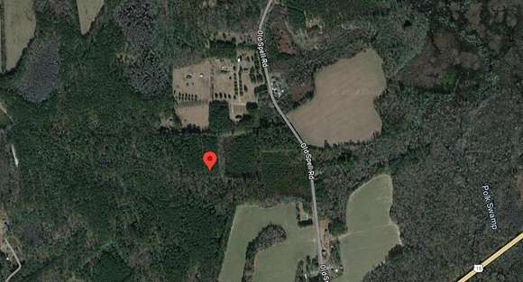28.8 Acres of Land for Sale in St. George, South Carolina