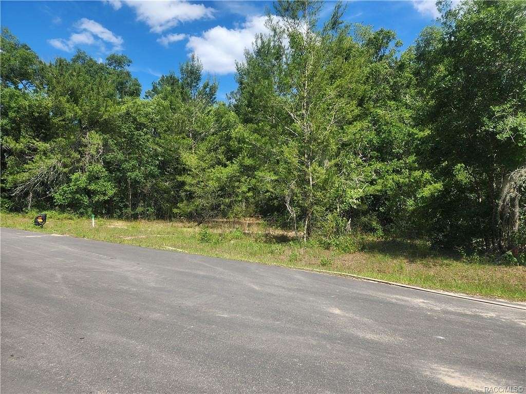 0.25 Acres of Residential Land for Sale in Inverness, Florida