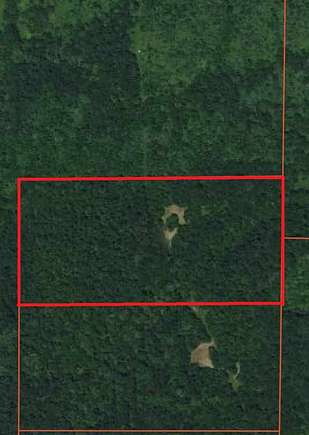 20 Acres of Recreational Land for Sale in Geff, Illinois