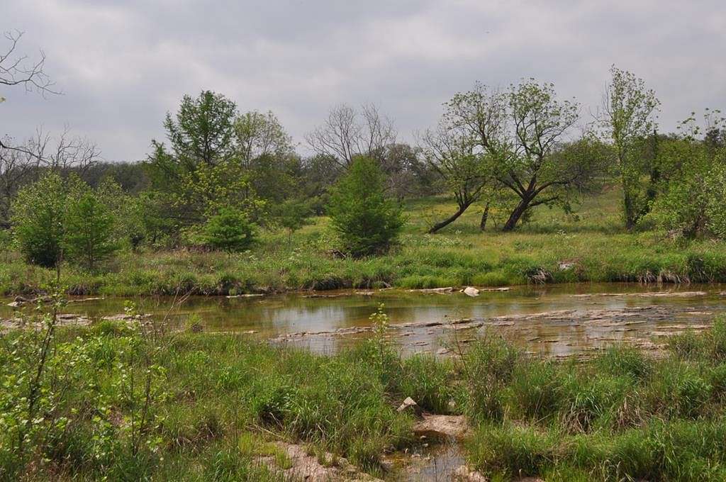 Land for Sale in Hye, Texas