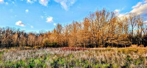 13.3 Acres of Recreational Land for Sale in China Township, Michigan