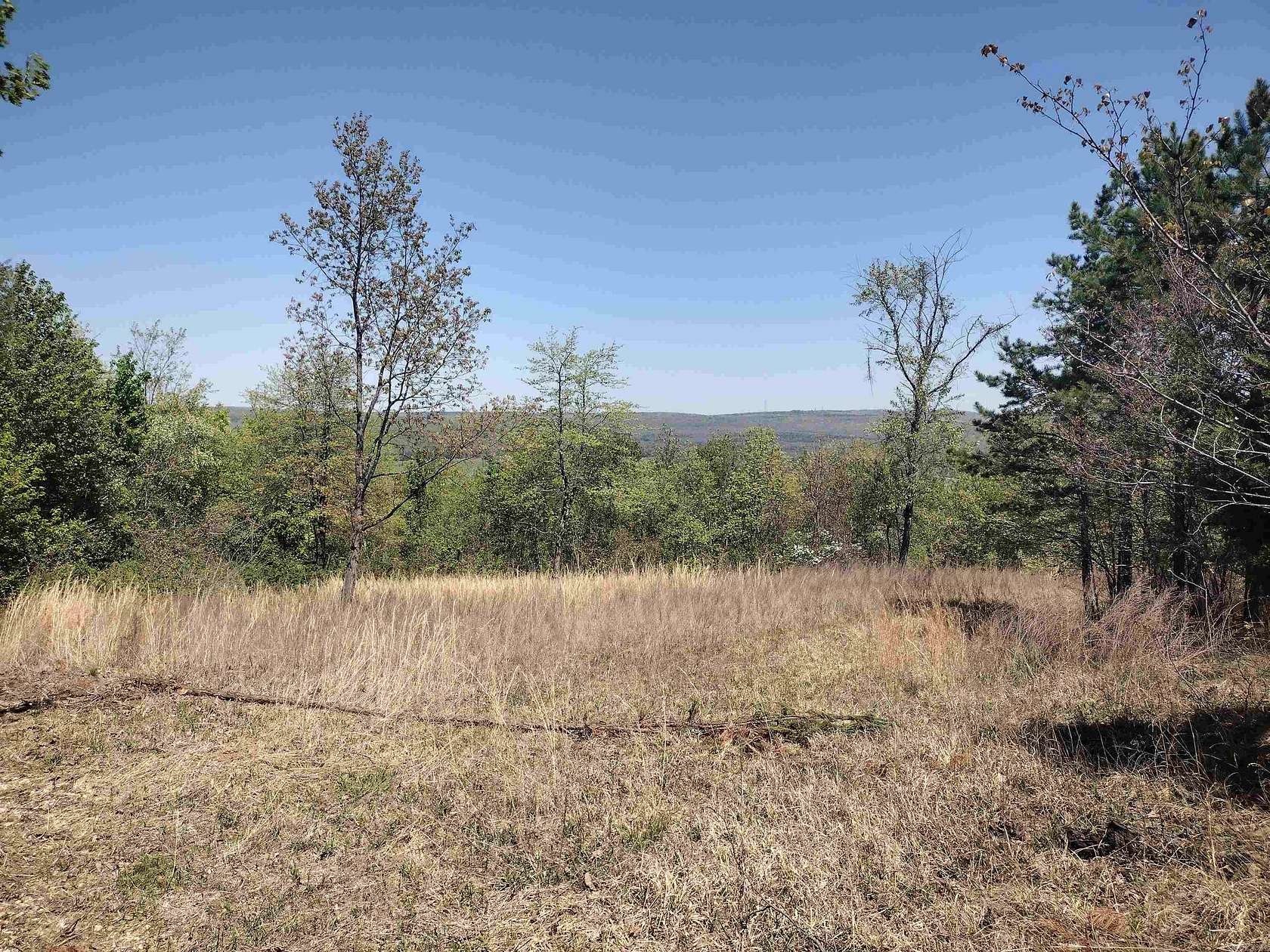 20.3 Acres of Land for Sale in Mountain View, Arkansas