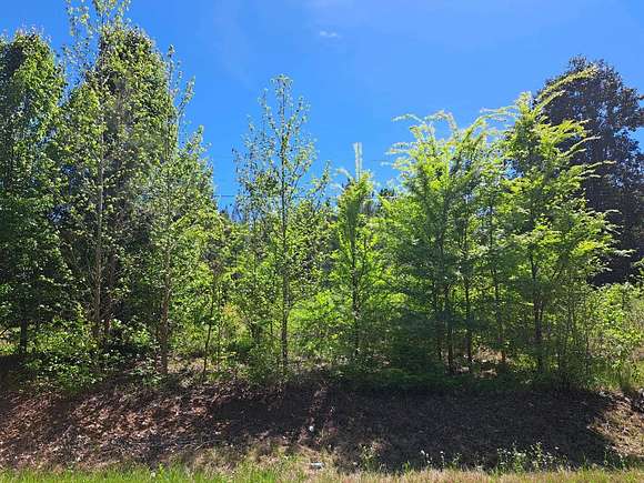 34 Acres of Land for Sale in Denmark, Tennessee