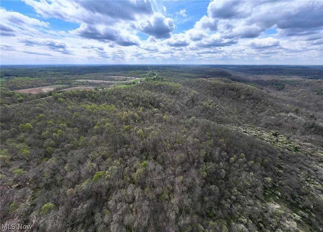 69.6 Acres of Recreational Land for Sale in Chesterhill, Ohio