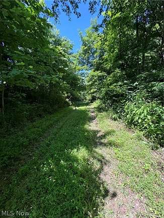 69.6 Acres of Recreational Land for Sale in Chesterhill, Ohio