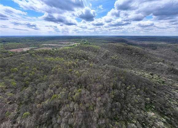 14.1 Acres of Recreational Land for Sale in Chesterhill, Ohio