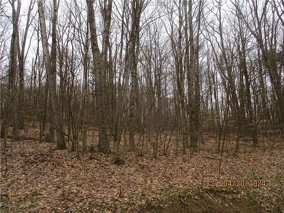 2.7 Acres of Land for Sale in Windsor, New York