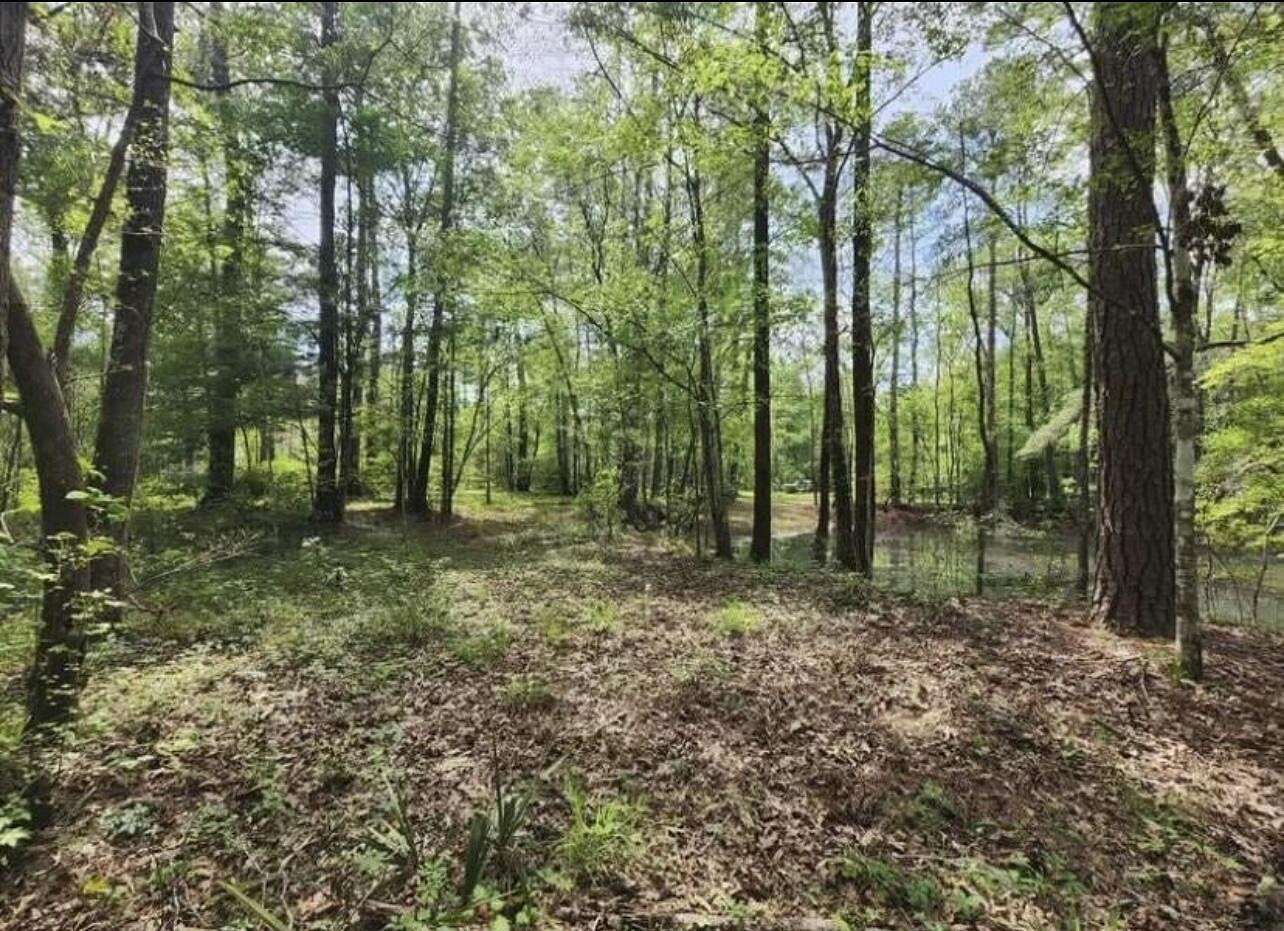 12 Acres of Land for Sale in Ridgeville, South Carolina