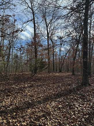 27.1 Acres of Land for Sale in Marshfield, Missouri