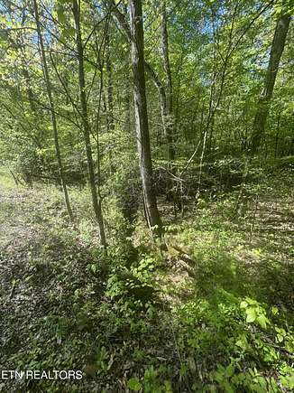 1.4 Acres of Land for Sale in Spring City, Tennessee
