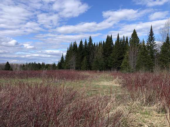160 Acres of Recreational Land for Sale in Caribou, Maine