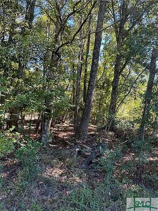 5.3 Acres of Land for Sale in Springfield, Georgia