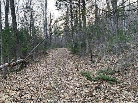 5.2 Acres of Land for Sale in Madrid, Maine