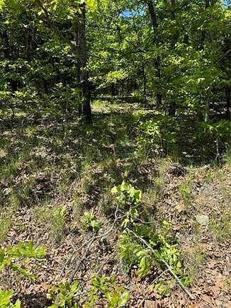 0.42 Acres of Residential Land for Sale in Vian, Oklahoma