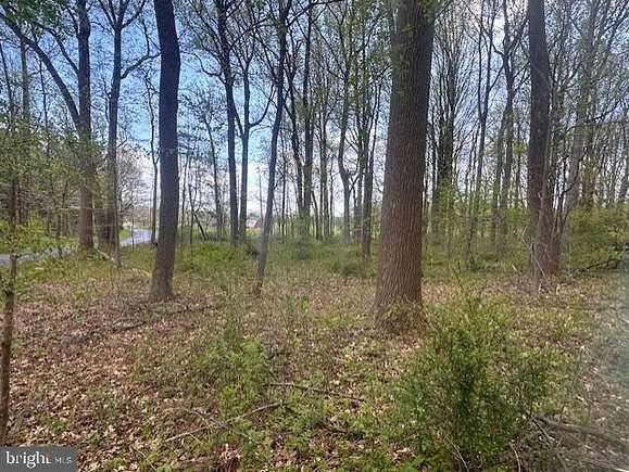 4 Acres of Residential Land for Sale in Stockton, New Jersey