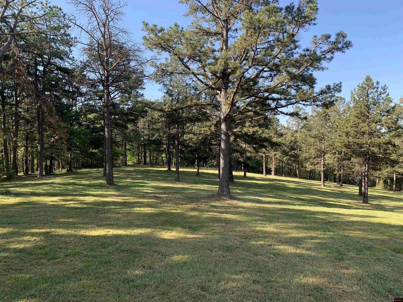 6 Acres of Land for Sale in St. Joe, Arkansas
