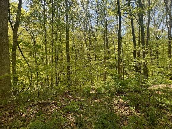 3.8 Acres of Land for Sale in Fountain Run, Kentucky