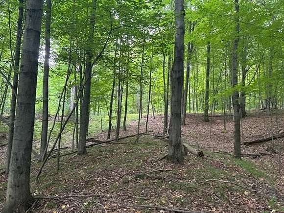 6.4 Acres of Residential Land for Sale in Lake Isabella, Michigan