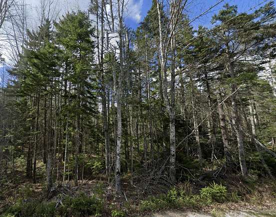 20 Acres of Land for Sale in Gouldsboro, Maine