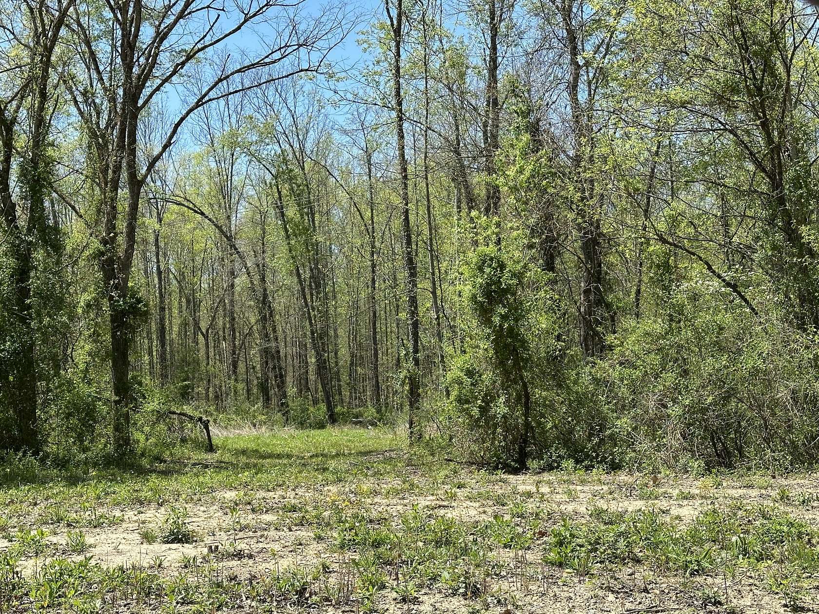 240 Acres of Recreational Land & Farm for Sale in Hitchins, Kentucky