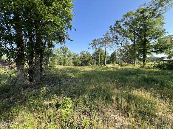 16 Acres of Land for Sale in Lucedale, Mississippi