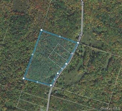 20 Acres of Recreational Land for Sale in Callicoon, New York