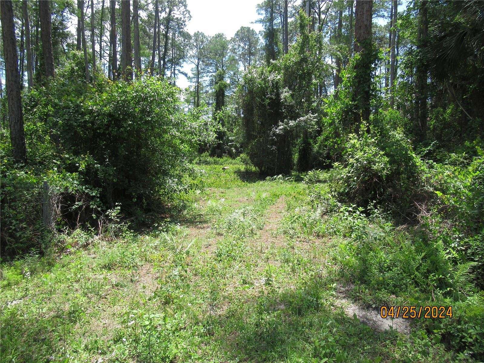 1.2 Acres of Residential Land for Sale in Bunnell, Florida