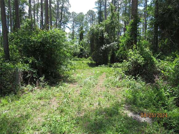 1.15 Acres of Residential Land for Sale in Bunnell, Florida