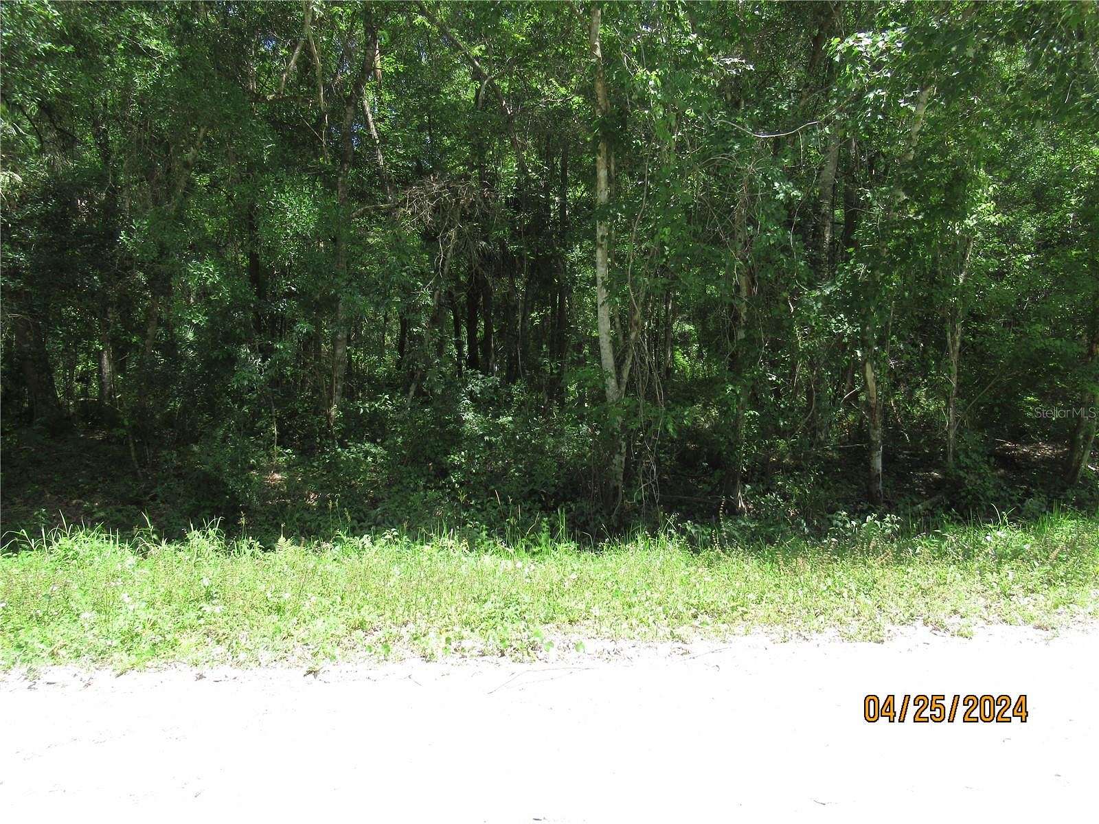 1.11 Acres of Residential Land for Sale in Bunnell, Florida