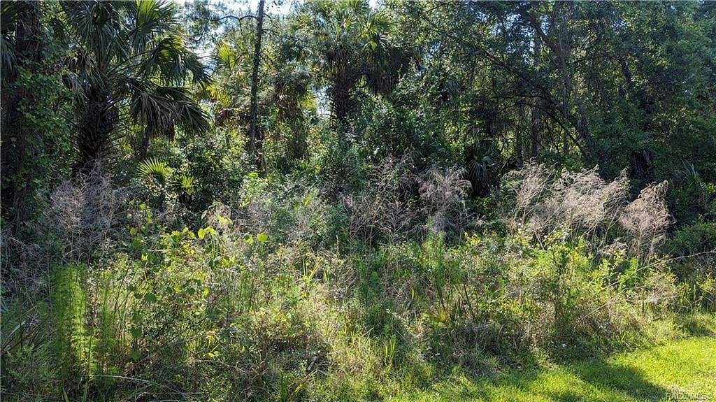 0.67 Acres of Land for Sale in Crystal River, Florida