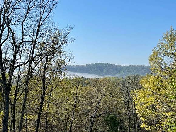1 Acre of Residential Land for Auction in Morganton, Georgia