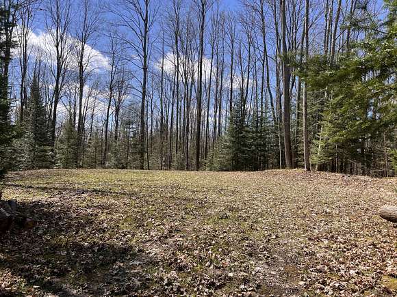 10 Acres of Land for Sale in Johannesburg, Michigan