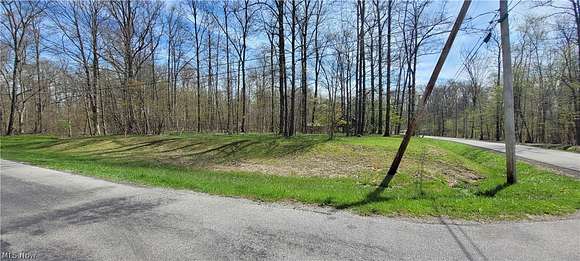 0.59 Acres of Residential Land for Sale in West Salem, Ohio