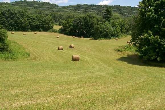 25.1 Acres of Agricultural Land for Sale in Walling, Tennessee