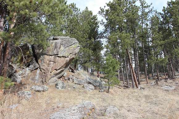5 Acres of Residential Land for Sale in Custer, South Dakota
