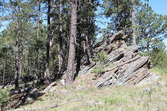 5 Acres of Residential Land for Sale in Custer, South Dakota