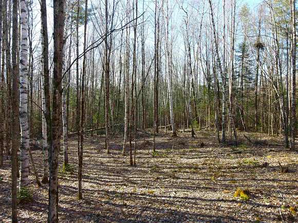 5.3 Acres of Residential Land for Sale in Warren, New Hampshire