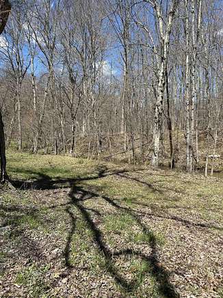 1.5 Acres of Residential Land for Sale in Flemington, West Virginia