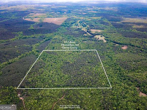 65.3 Acres of Land for Sale in Thomaston, Georgia