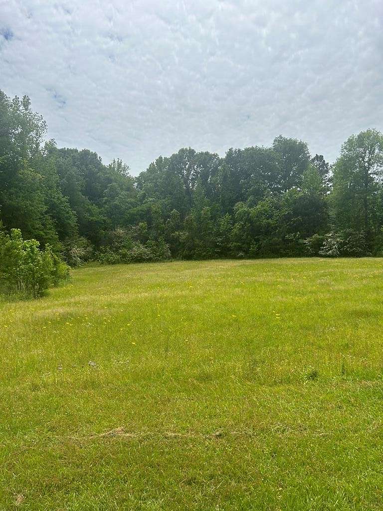 1.1 Acres of Residential Land for Sale in Summit, Mississippi
