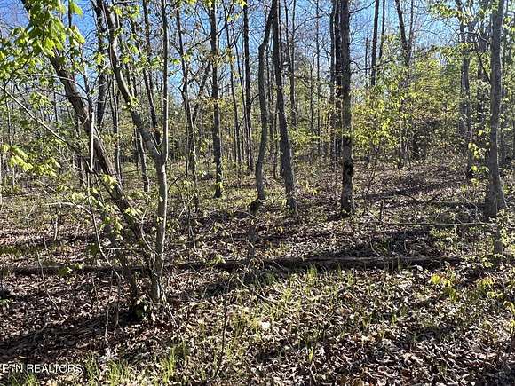 0.52 Acres of Residential Land for Sale in Crossville, Tennessee